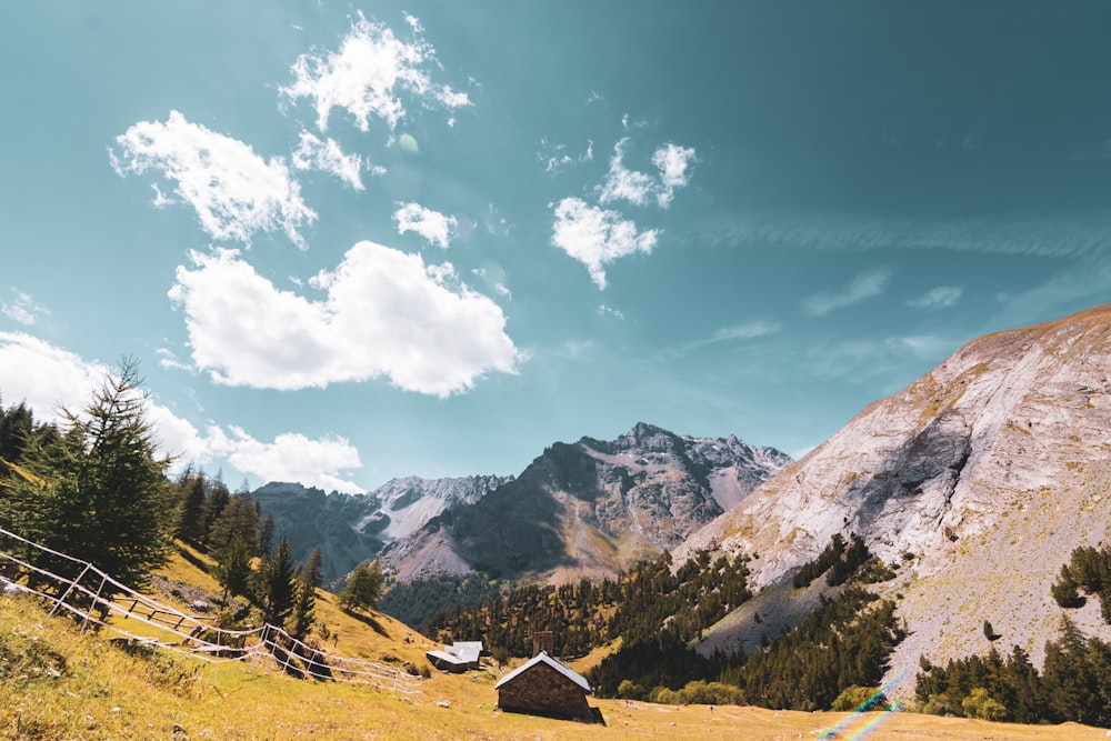 green trees and mountains under blue sky and white clouds during daytime