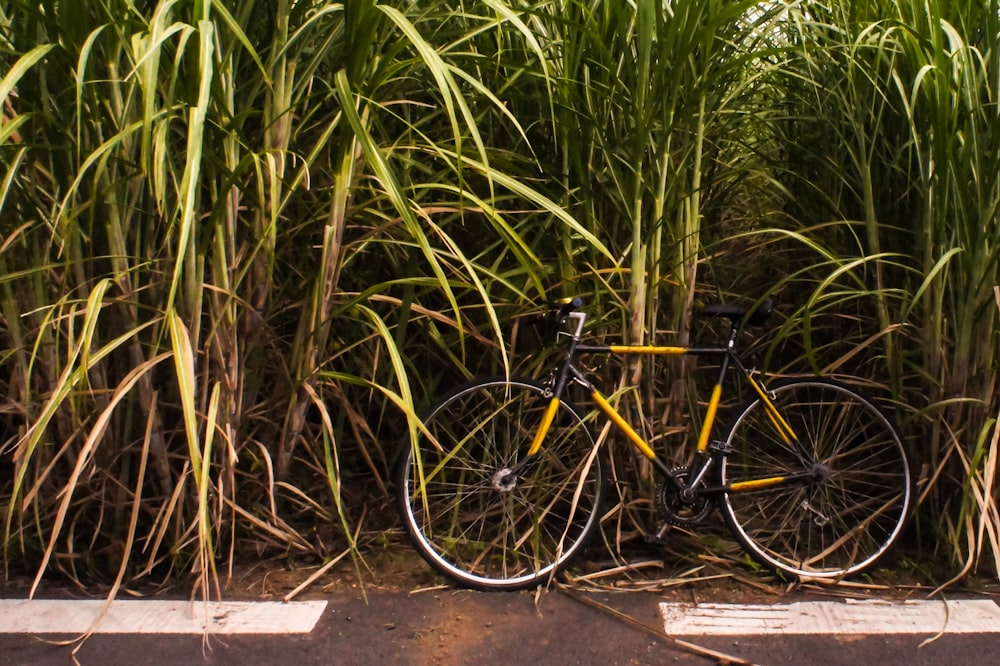 Bicicleta negra estacionada al lado de una planta verde