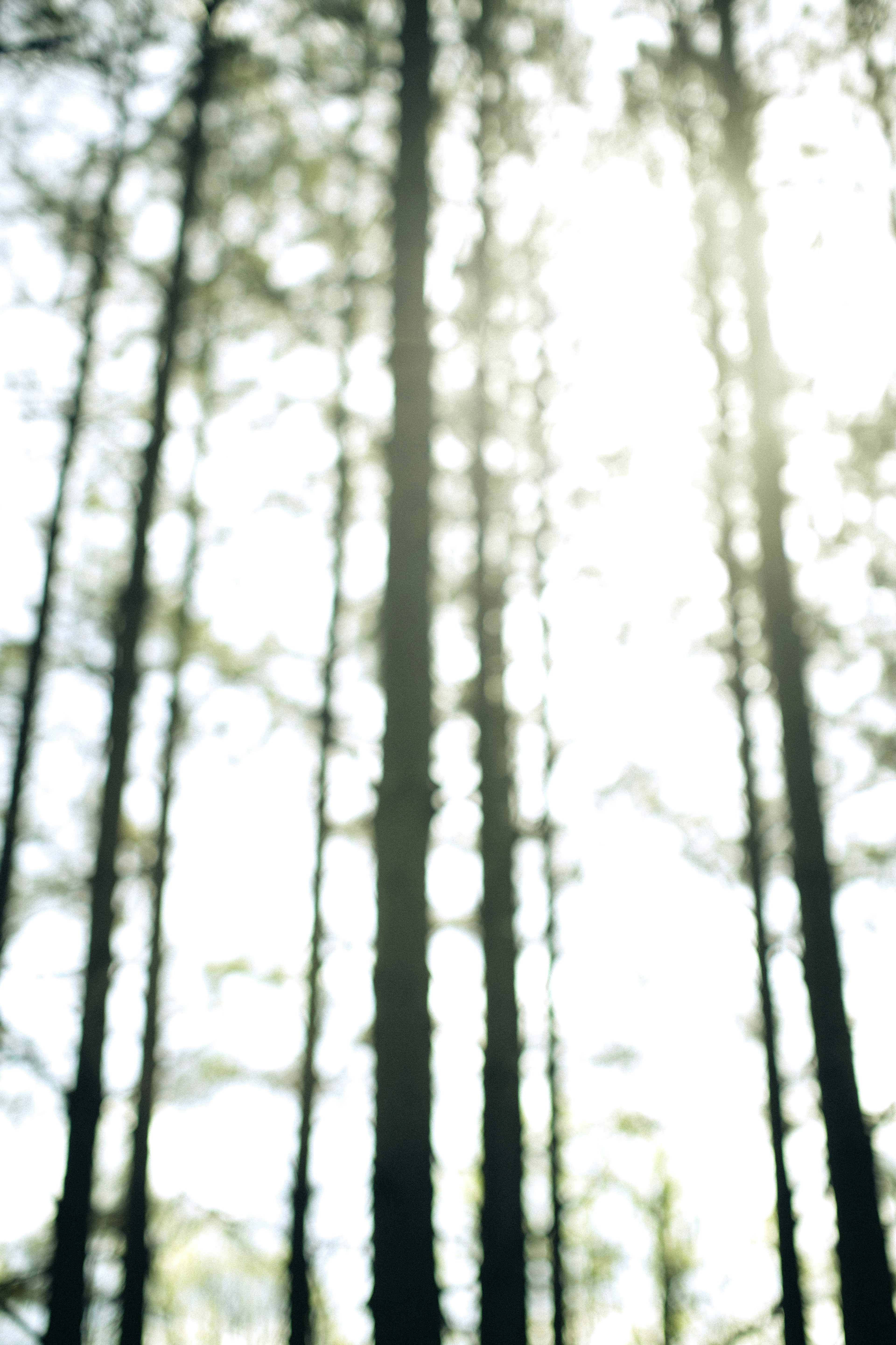 Photo by joetography