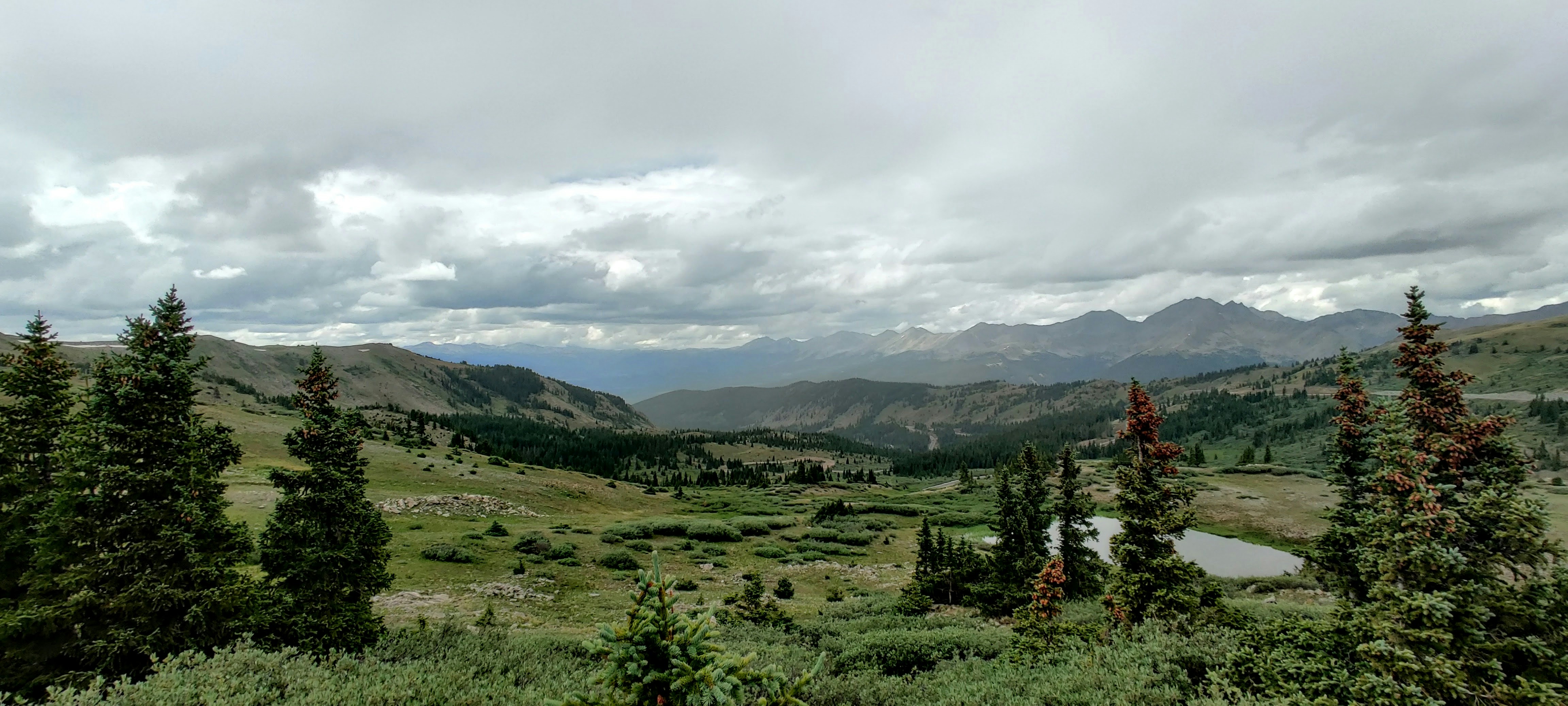 Hero image for Montana Big Sky Loop: 4 Days of Natural Wonders - green trees on green grass field under white clouds during daytime -  in Rocky Mountains & Northern Rockies - Photo by Jashan Kaleka on Unsplash