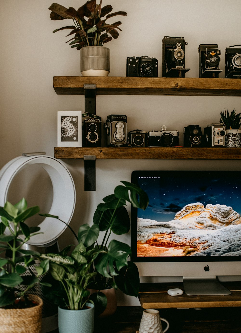 black flat screen tv turned on near green potted plant