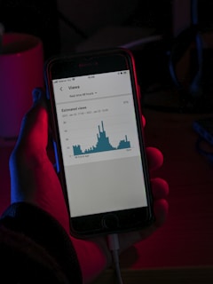 person holding black iphone 5