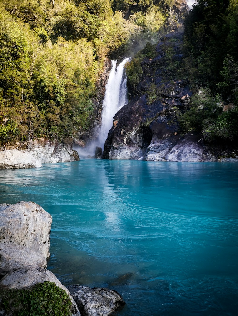 water falls between green trees during daytime