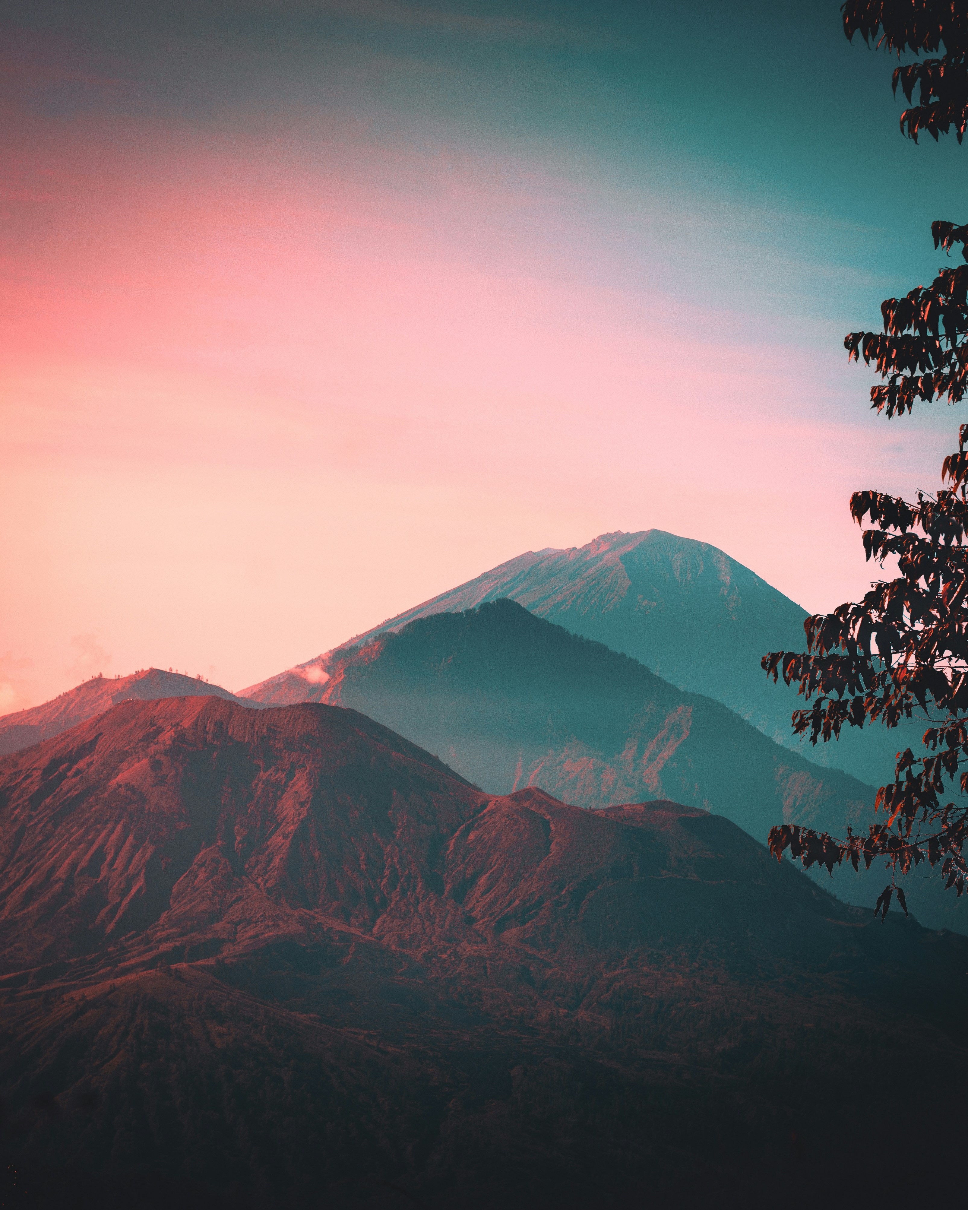 Photo by visualsofdana