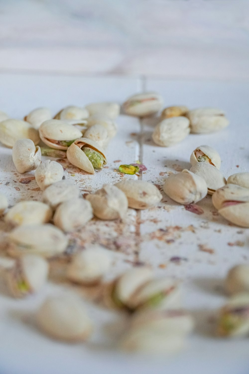 white and brown seashells on white table