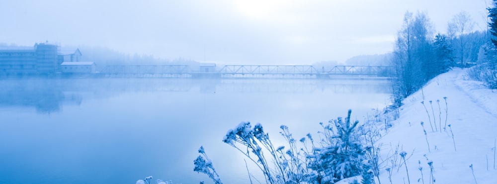 body of water near bridge during daytime