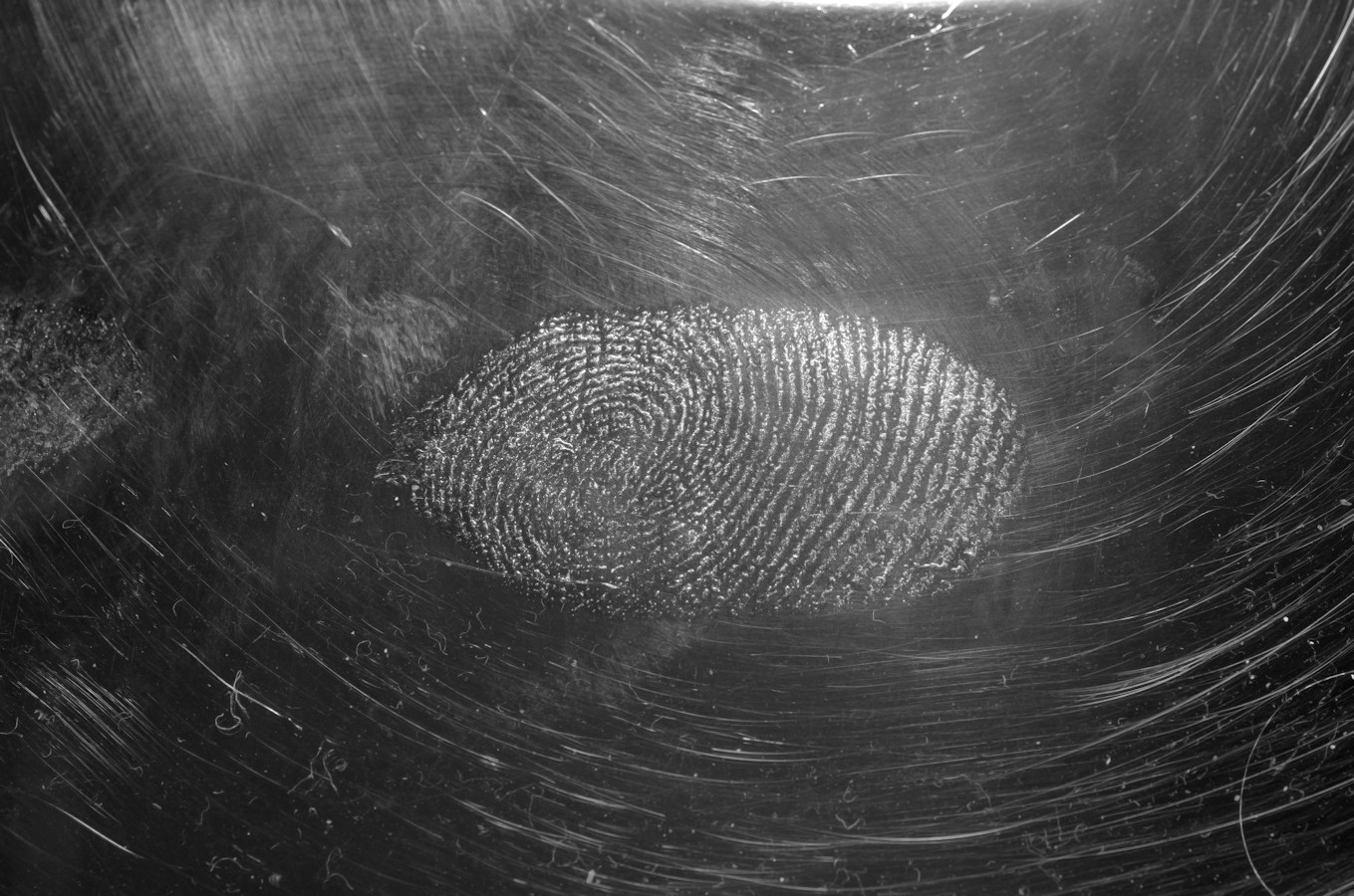 AI Prompt for Erie County Biometric Privacy Erasure Audits
