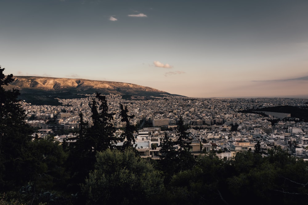 white and brown concrete buildings on mountain during daytime