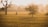 woman in white dress standing on green grass field during daytime