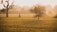 woman in white dress standing on green grass field during daytime