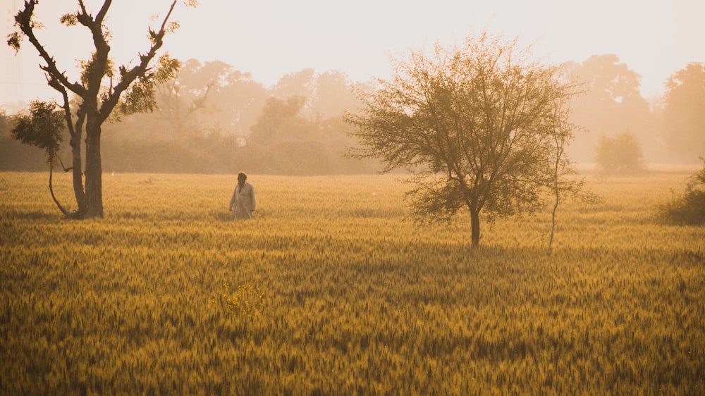 donna in abito bianco in piedi sul campo di erba verde durante il giorno