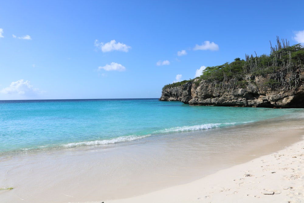 spiaggia di sabbia marrone con alberi verdi e mare blu sotto cielo blu durante il giorno