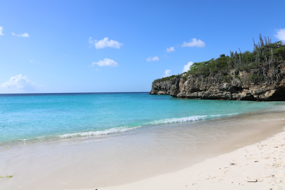 Brauner Sandstrand mit grünen Bäumen und blauem Meer unter blauem Himmel tagsüber