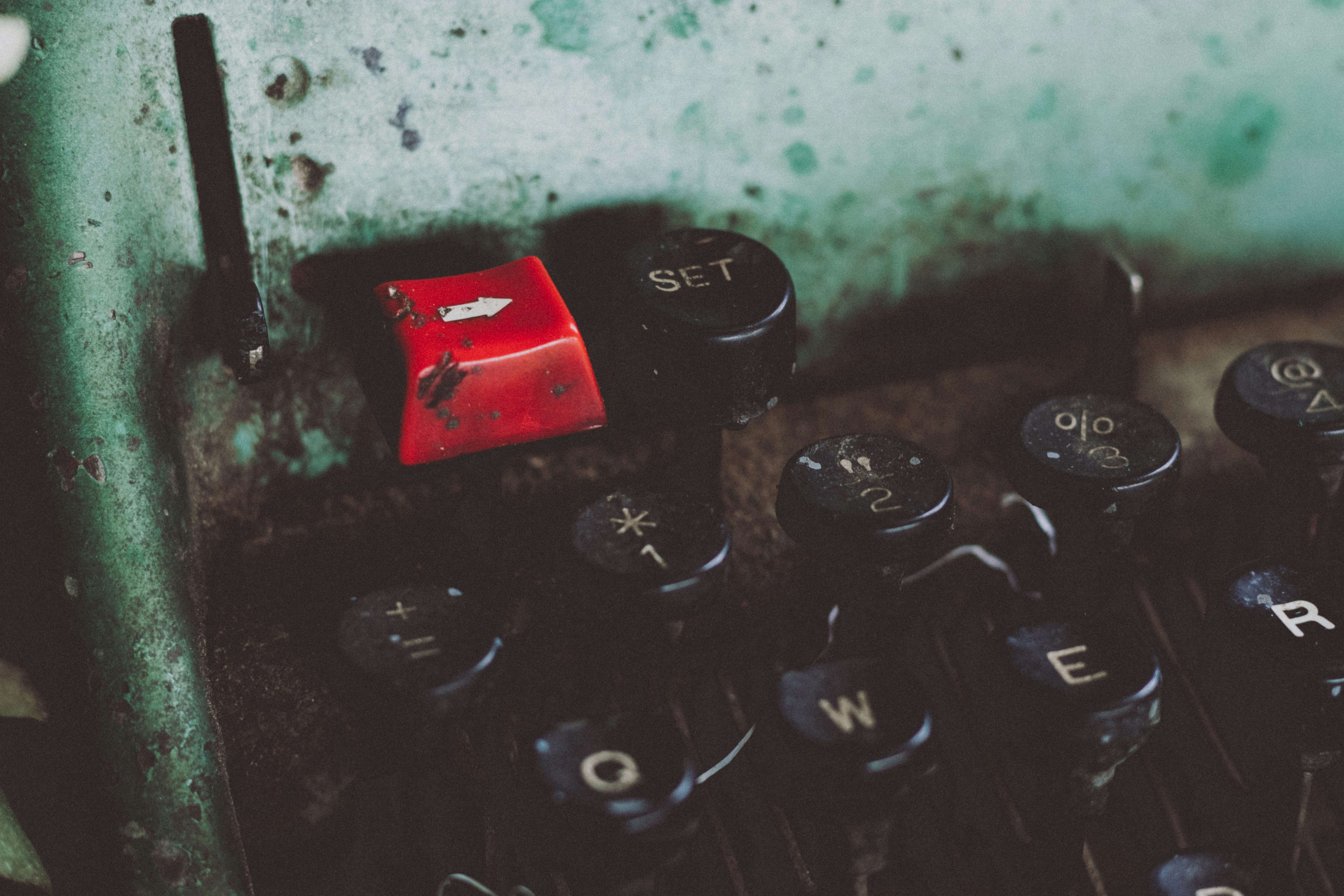 Photo by phoenixprithivi