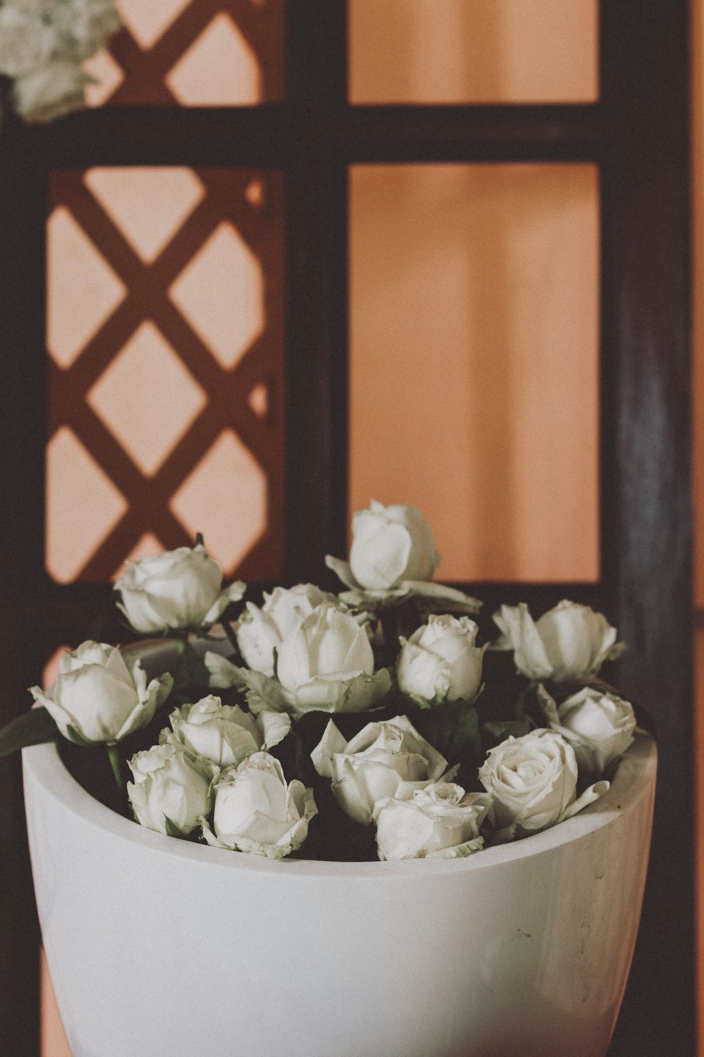 flores brancas no vaso de cerâmica marrom