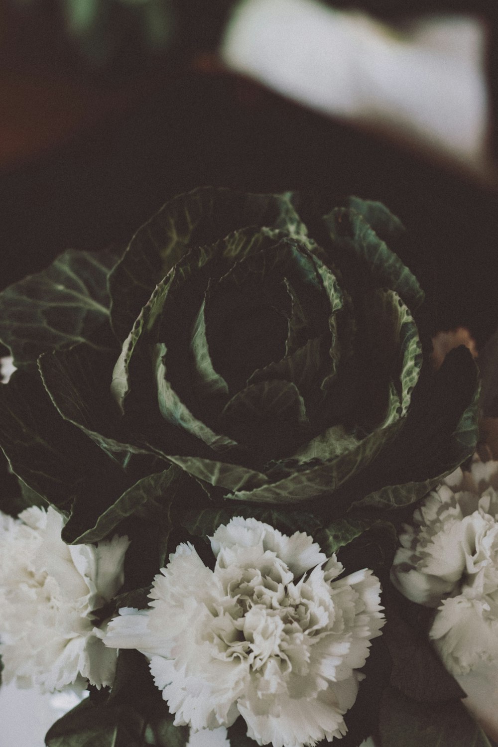 white and green flower bouquet