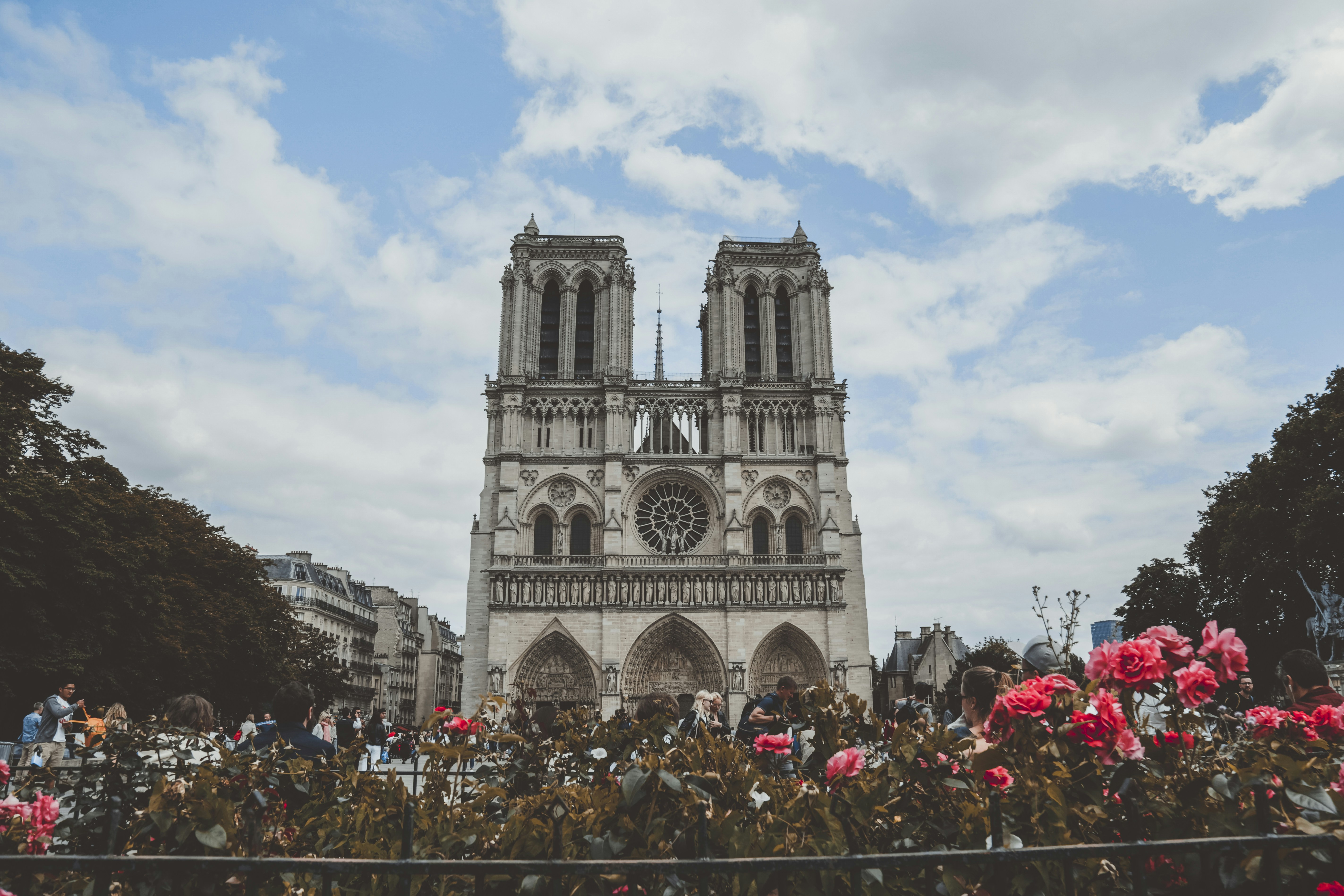 Photo by i_am_simoesse