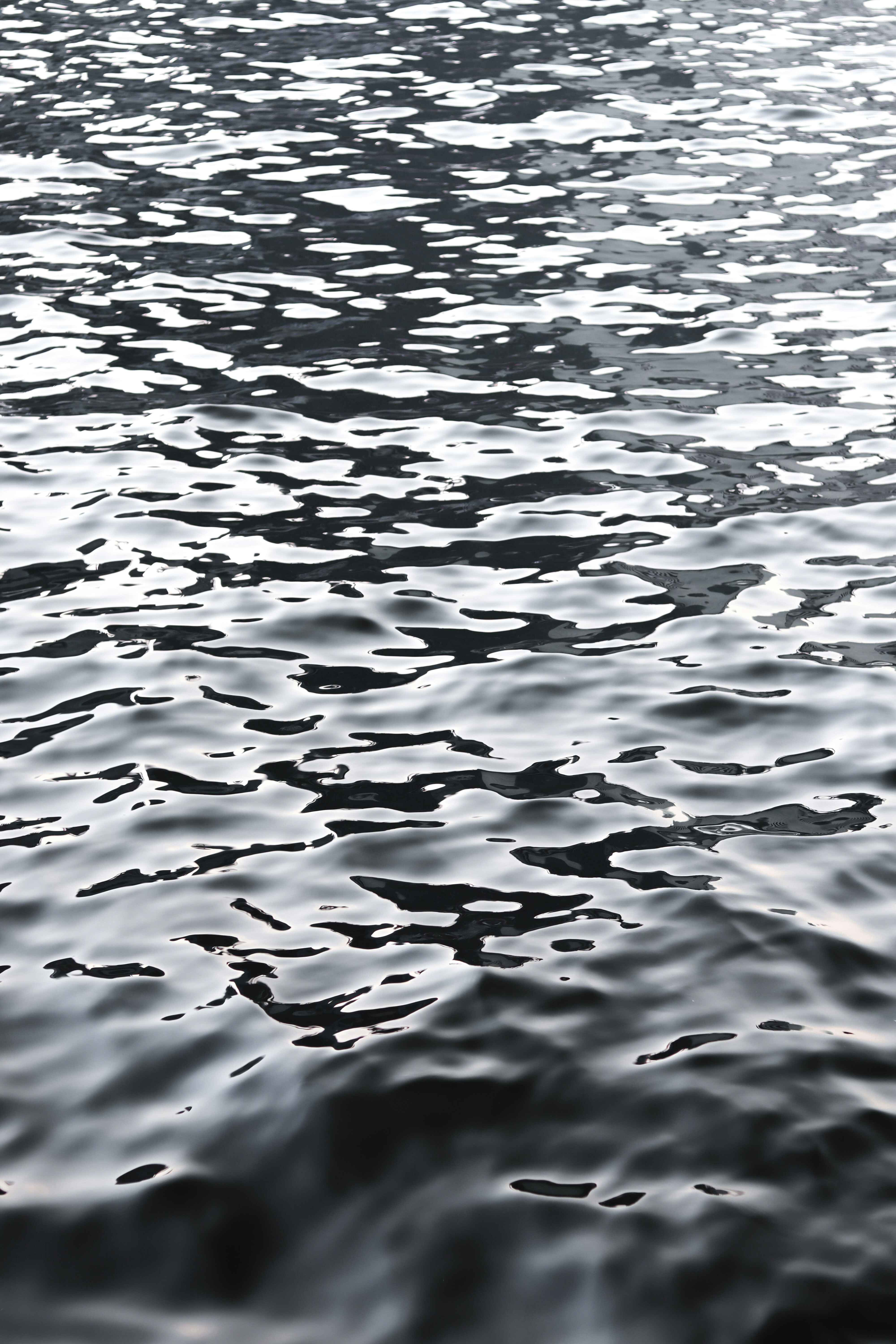 Photo by thattravelblog