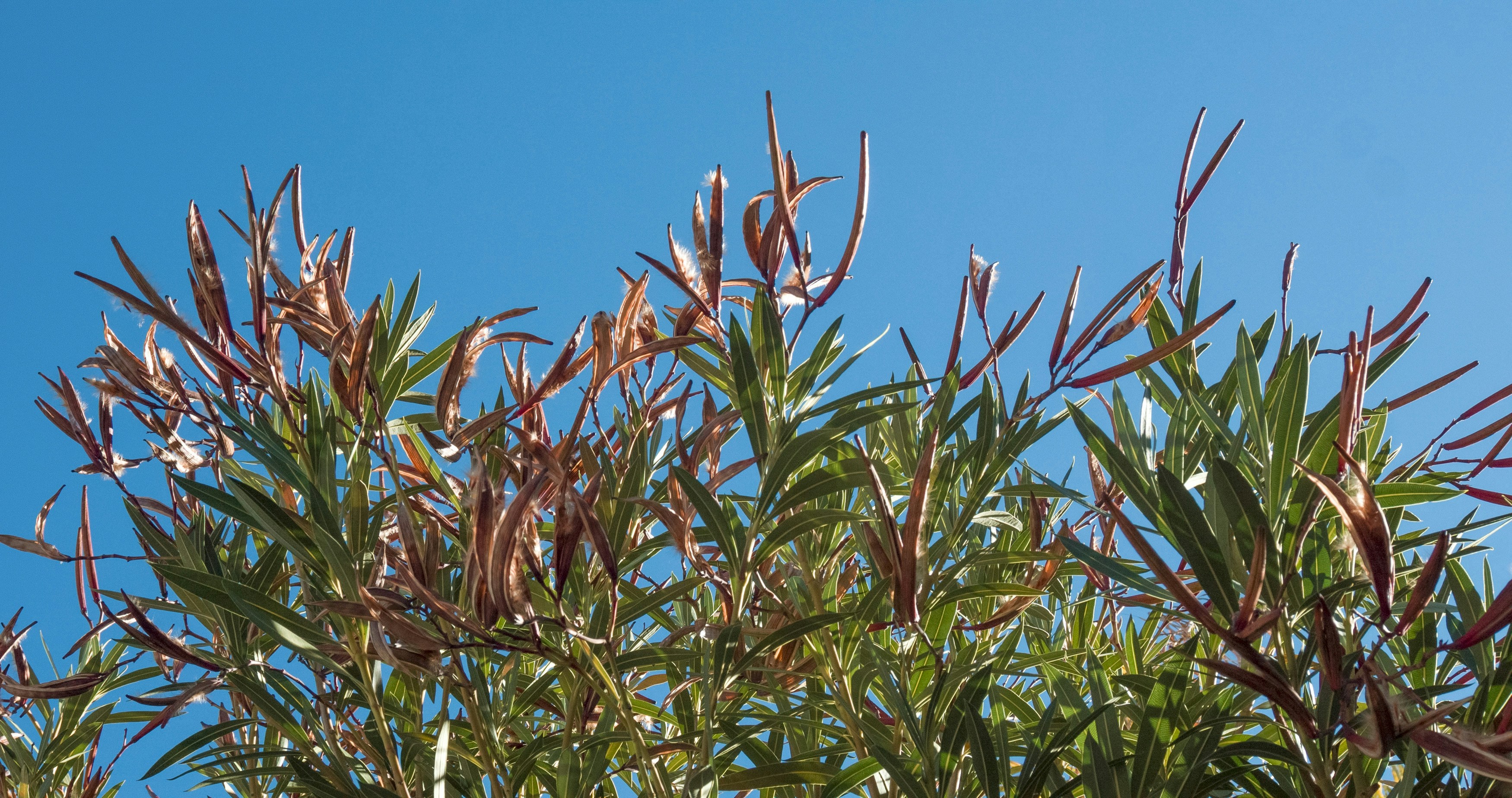 Photo by _nickwright_