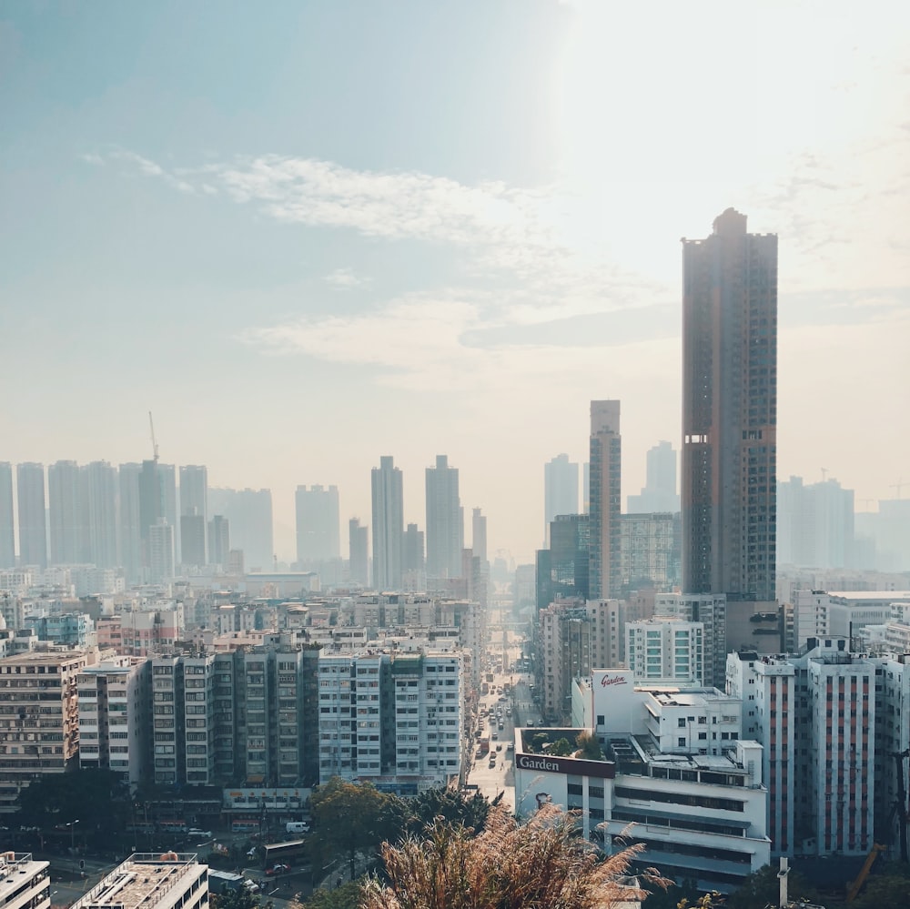 city skyline under white sky during daytime