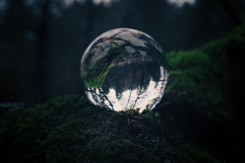 clear glass ball on green grass