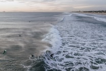 Surfers are riding waves in a vast ocean, with foamy water patterns visible across the surface. The distant shoreline is lined with palm trees, and the sky is overcast with soft hues of grey and light blue.