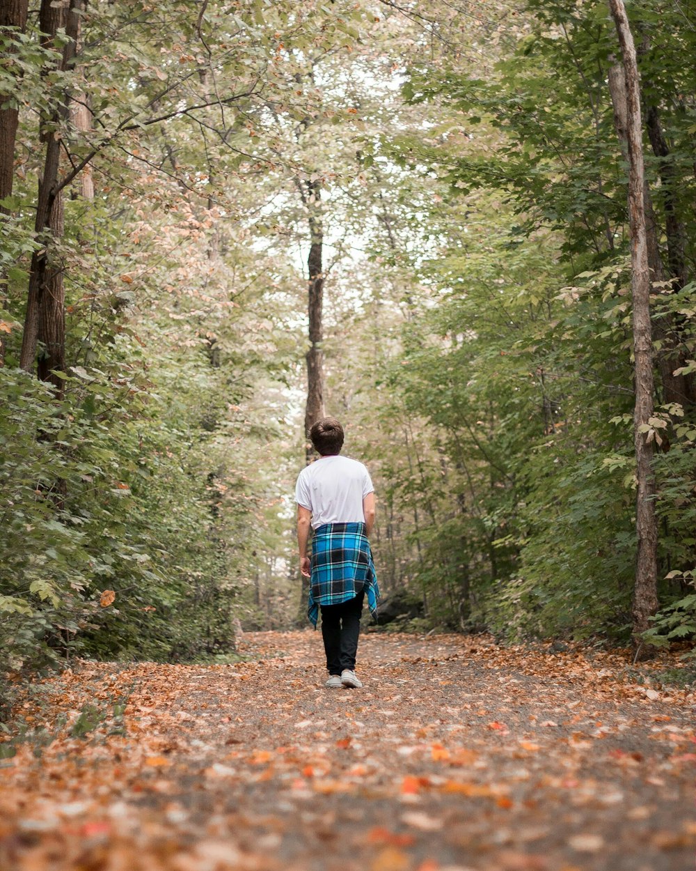 woman in white jacket and blue denim jeans walking on pathway in the woods during daytime