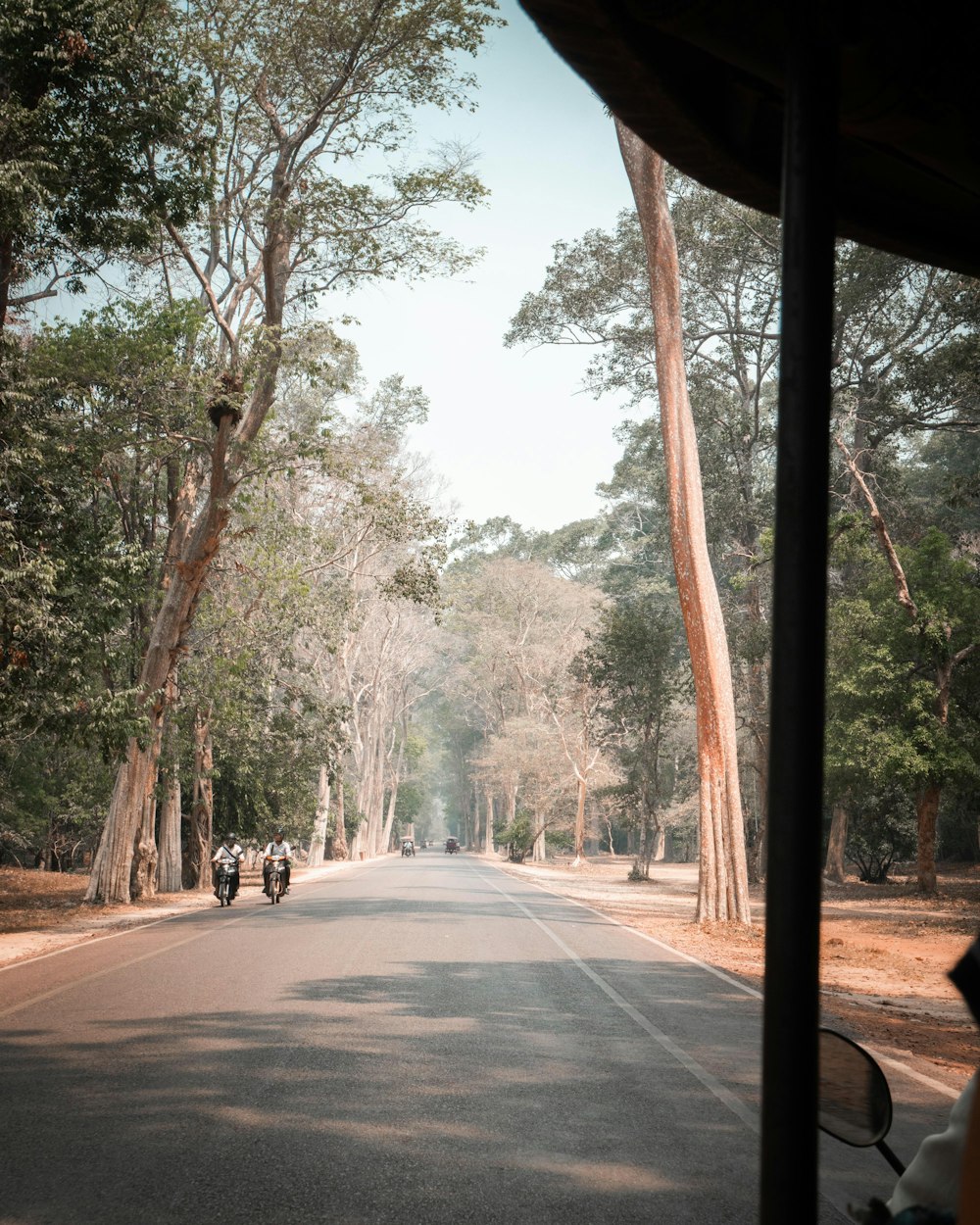 people walking on road during daytime