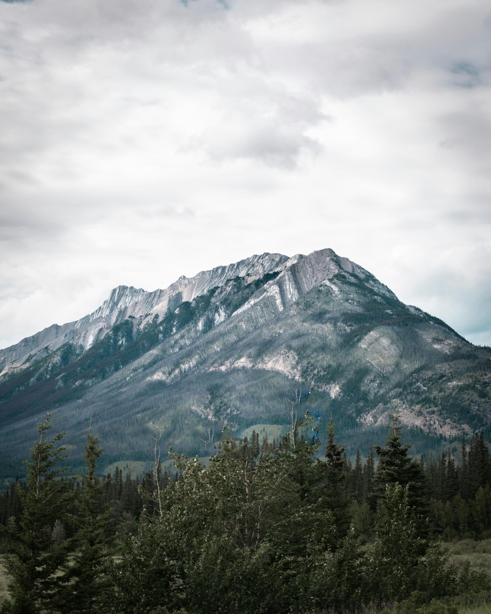 green trees near mountain under cloudy sky during daytime