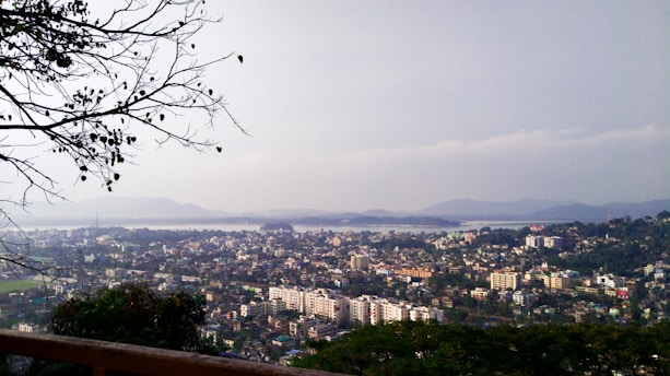 city with high rise buildings under white sky during daytime