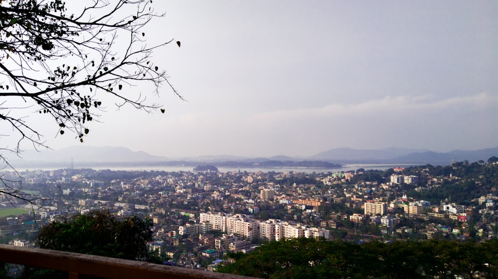 city with high rise buildings under white sky during daytime