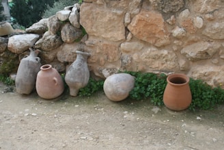 A collection of large clay pots arranged against a rustic stone wall. The pots vary in size and shape, with some appearing more elongated while others are more bulbous. The stone wall is composed of uneven, roughly cut stones in earthy tones. Lush green plants are growing at the base of the wall, providing a natural contrast to the aged stones and pottery.