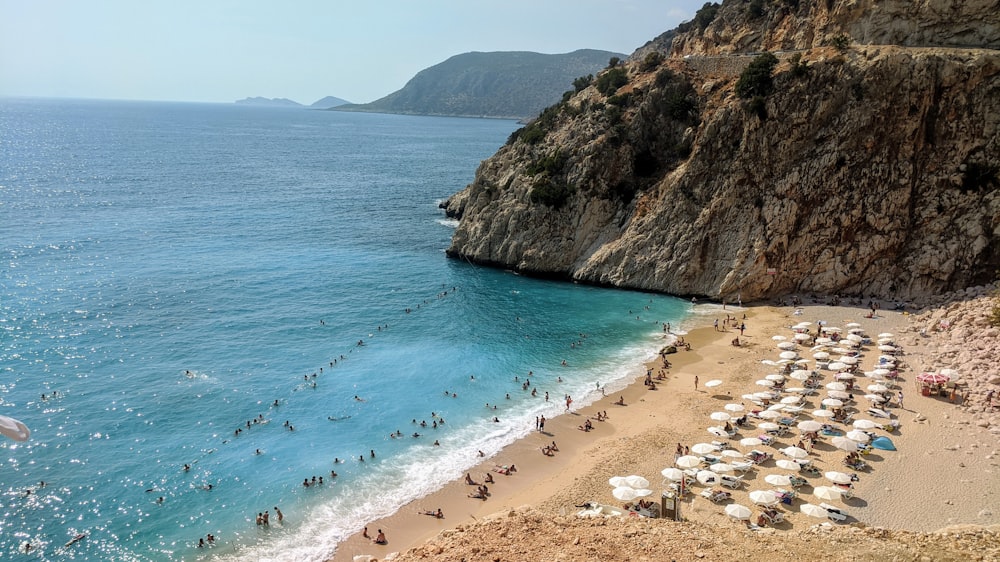 people on beach during daytime