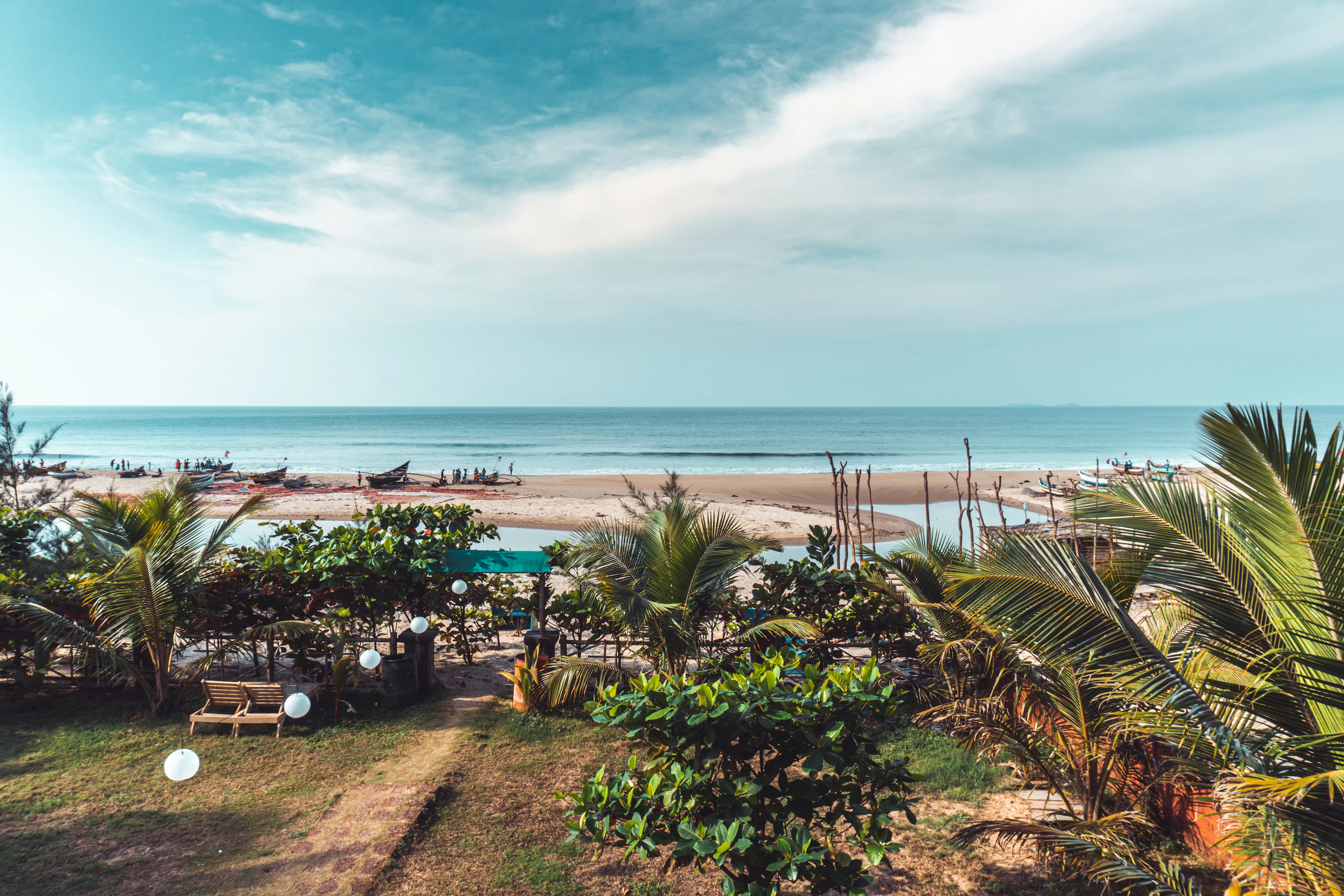Palm trees beside water on the Konkan coast