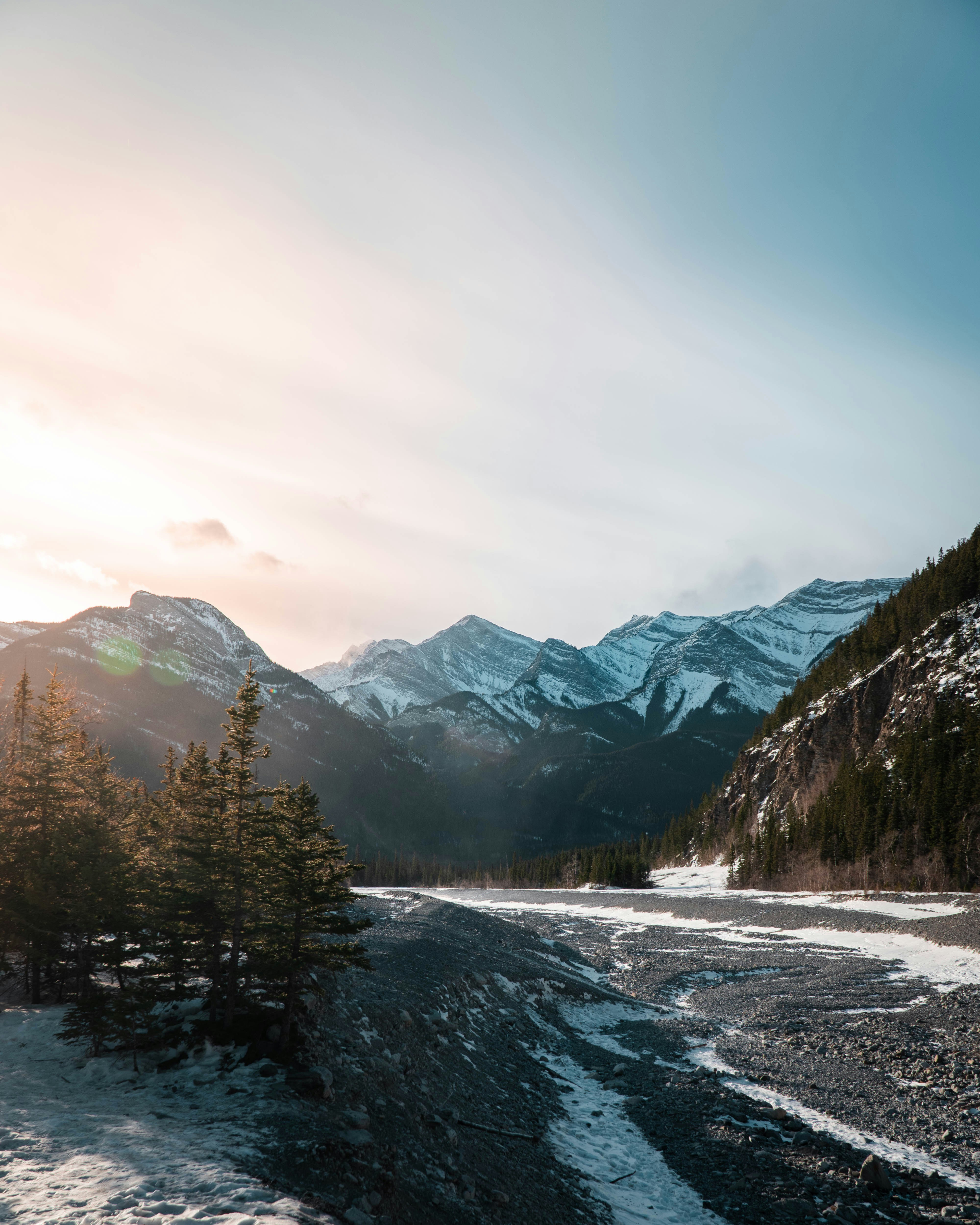green trees on snow covered ground during daytime
