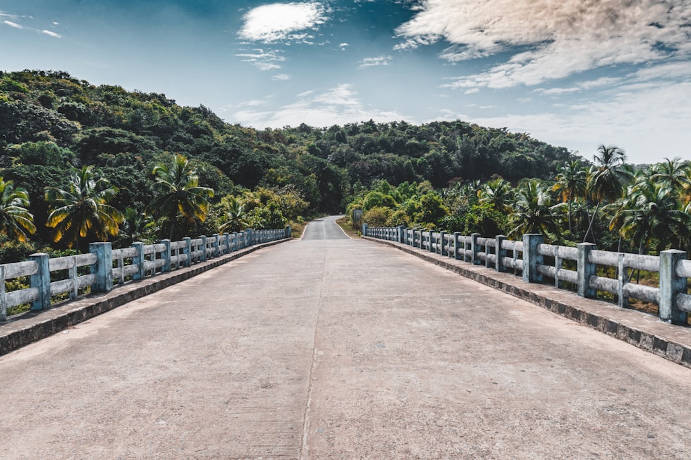 gray concrete pathway between green trees under blue sky during daytime