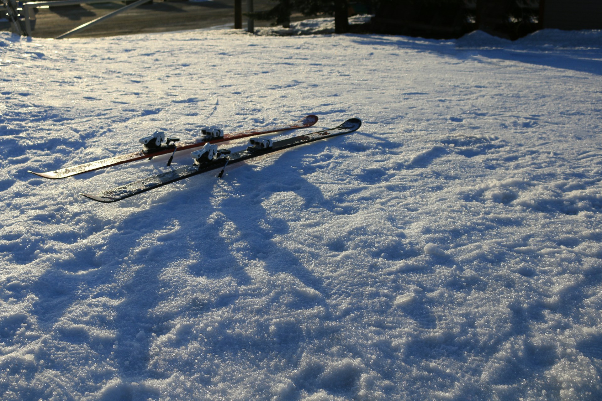 woman holding dried flower