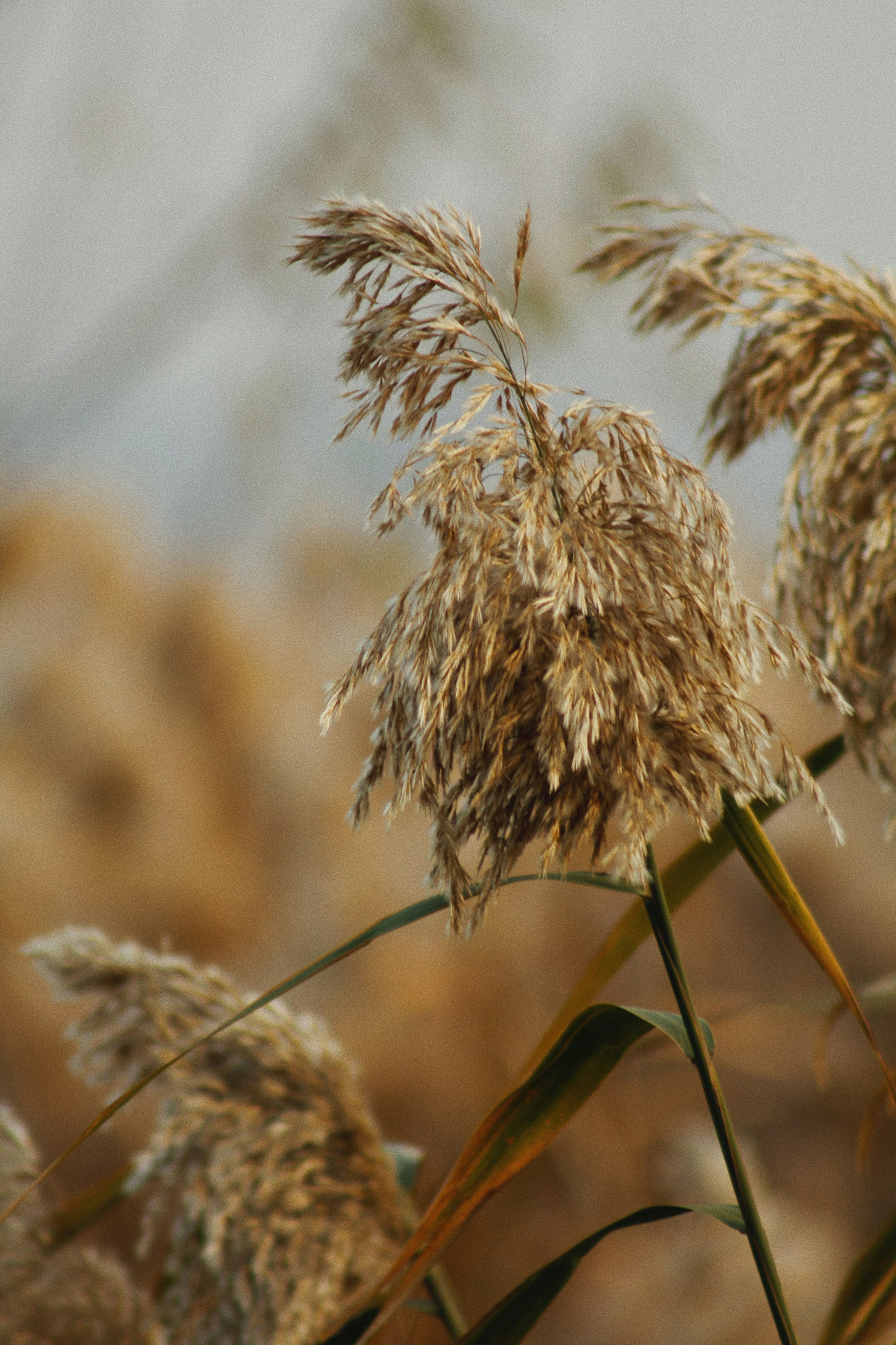 Photo by ahsenarslln