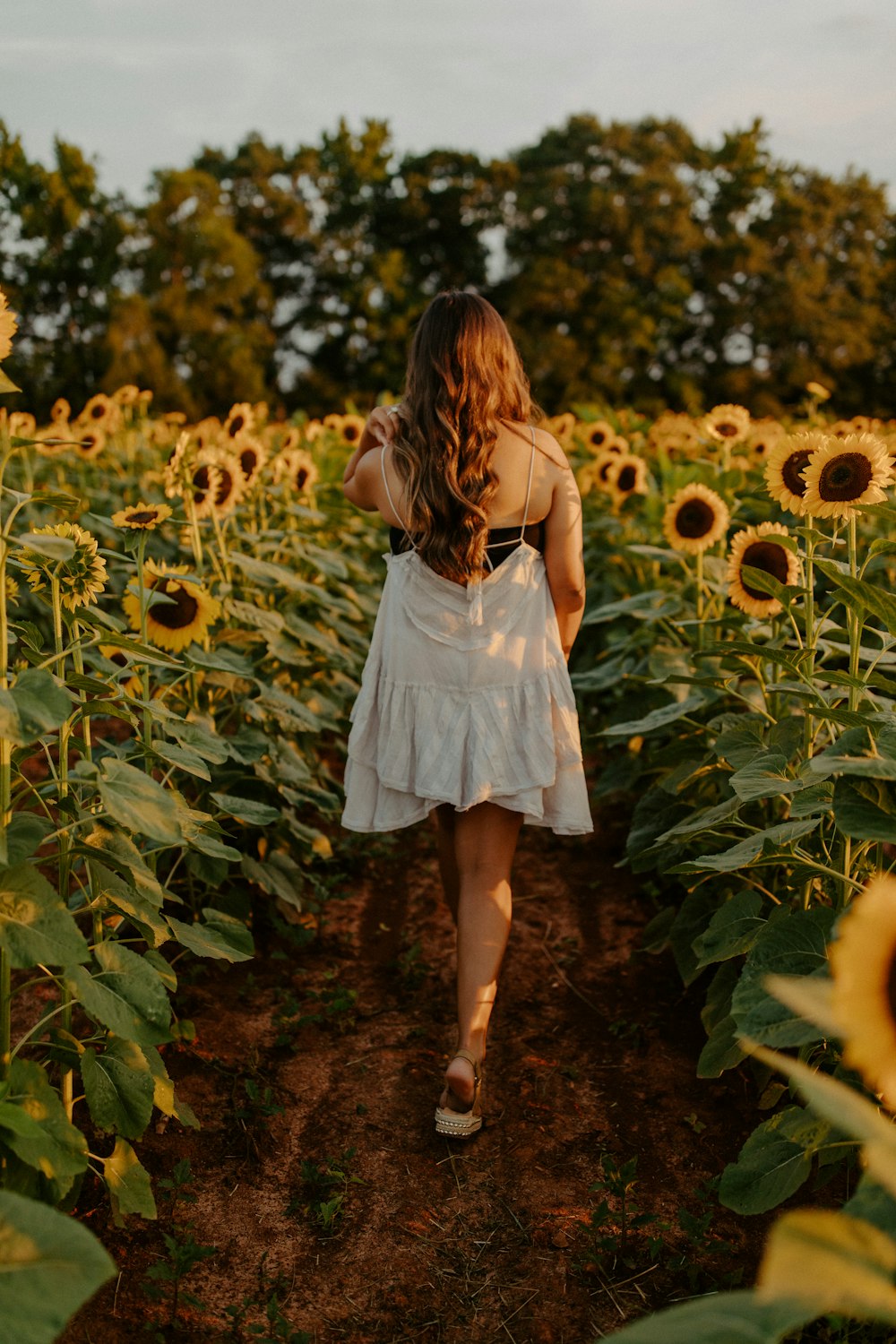 Mädchen in weißem Kleid, das tagsüber auf einem Sonnenblumenfeld steht
