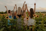 group of people on sunflower field during daytime