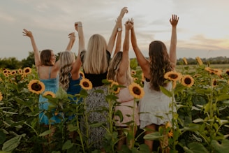group of people on sunflower field during daytime