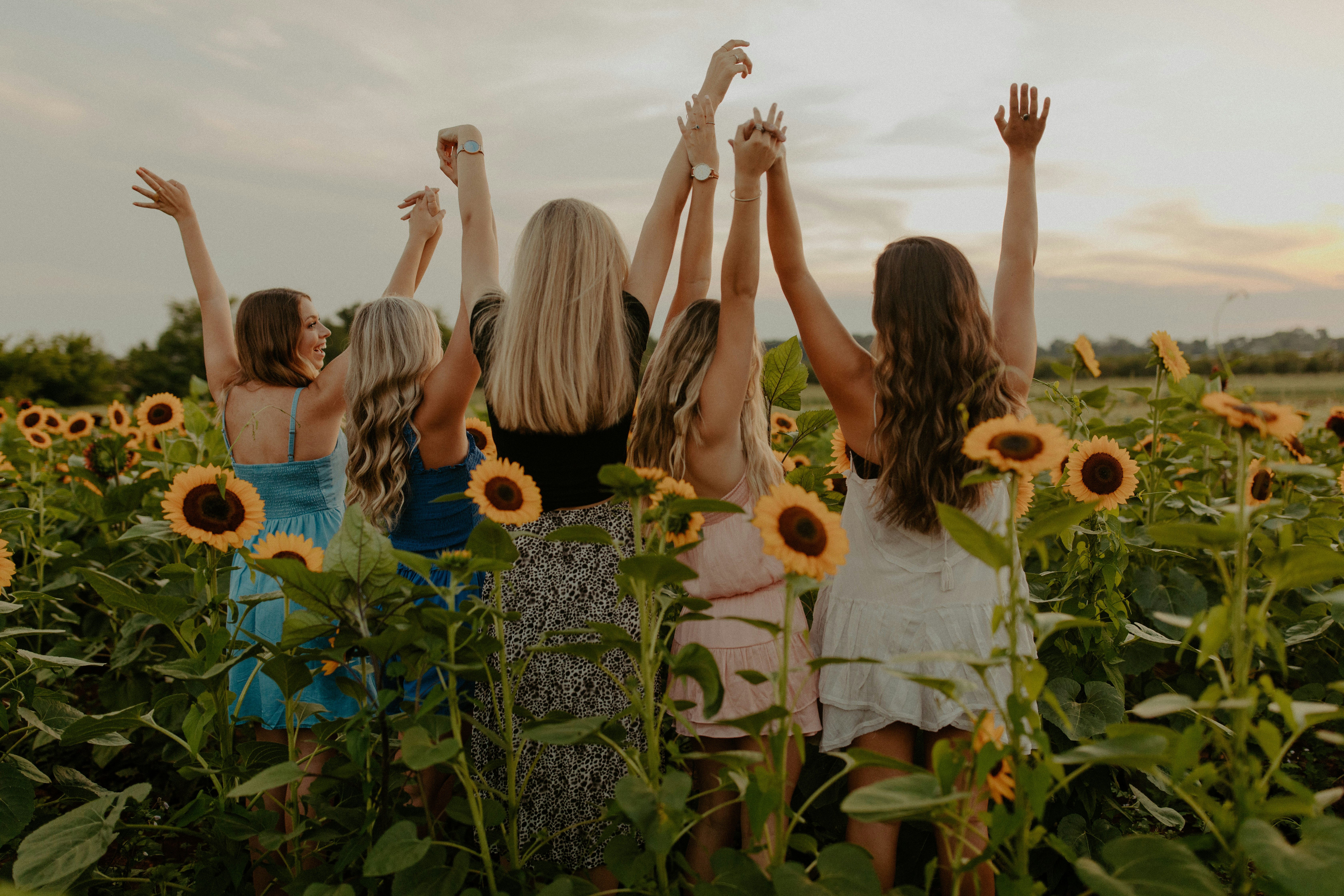 group of people on sunflower field during daytime