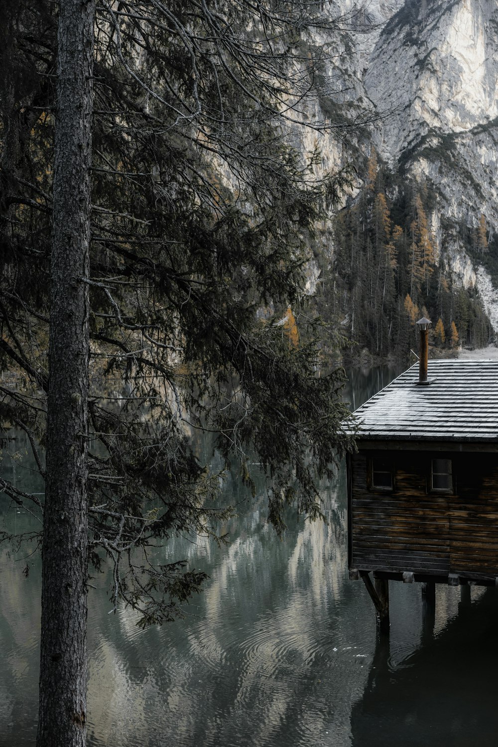 brown wooden house near lake