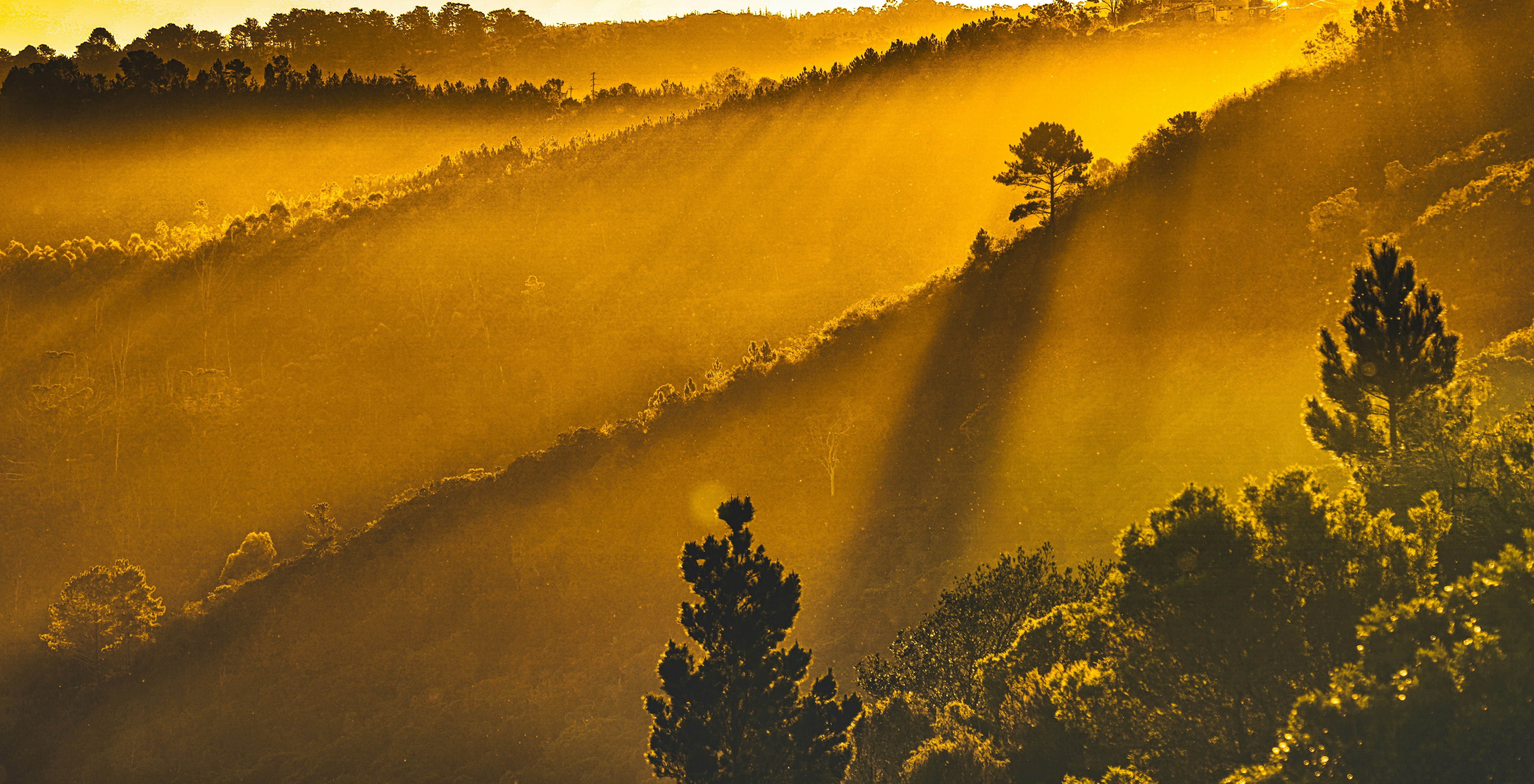 sunset in plettenberg bay, garden route, south africa