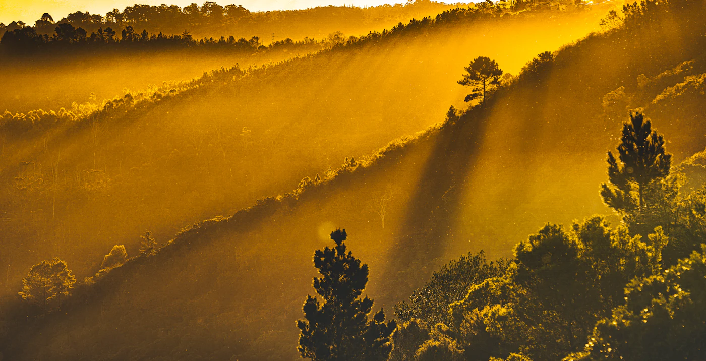 Sunset over Plettenberg Bay on South Africa's Garden Route