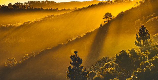 Sunset over Plettenberg Bay on South Africa's Garden Route