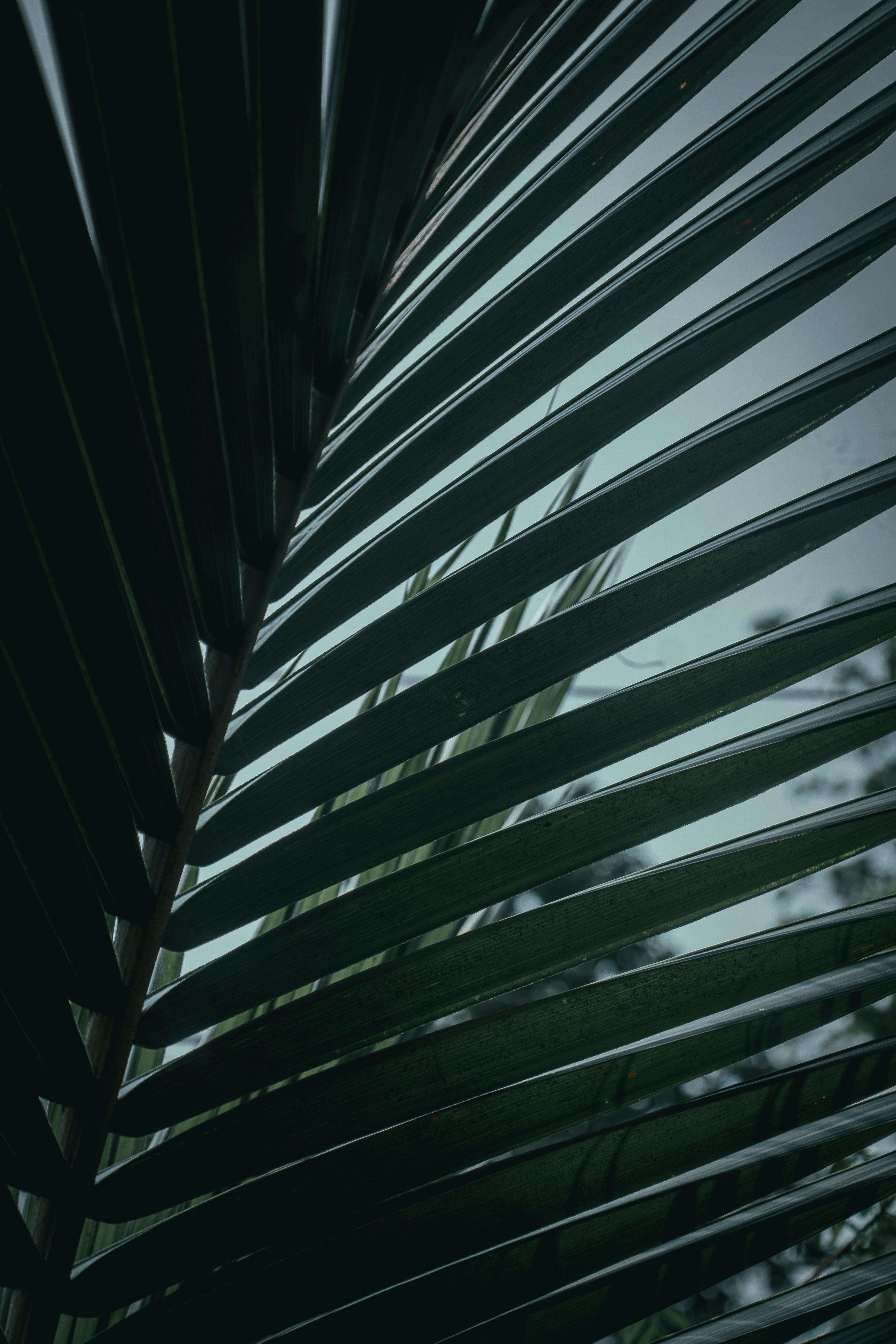 Photo by francos_chapter