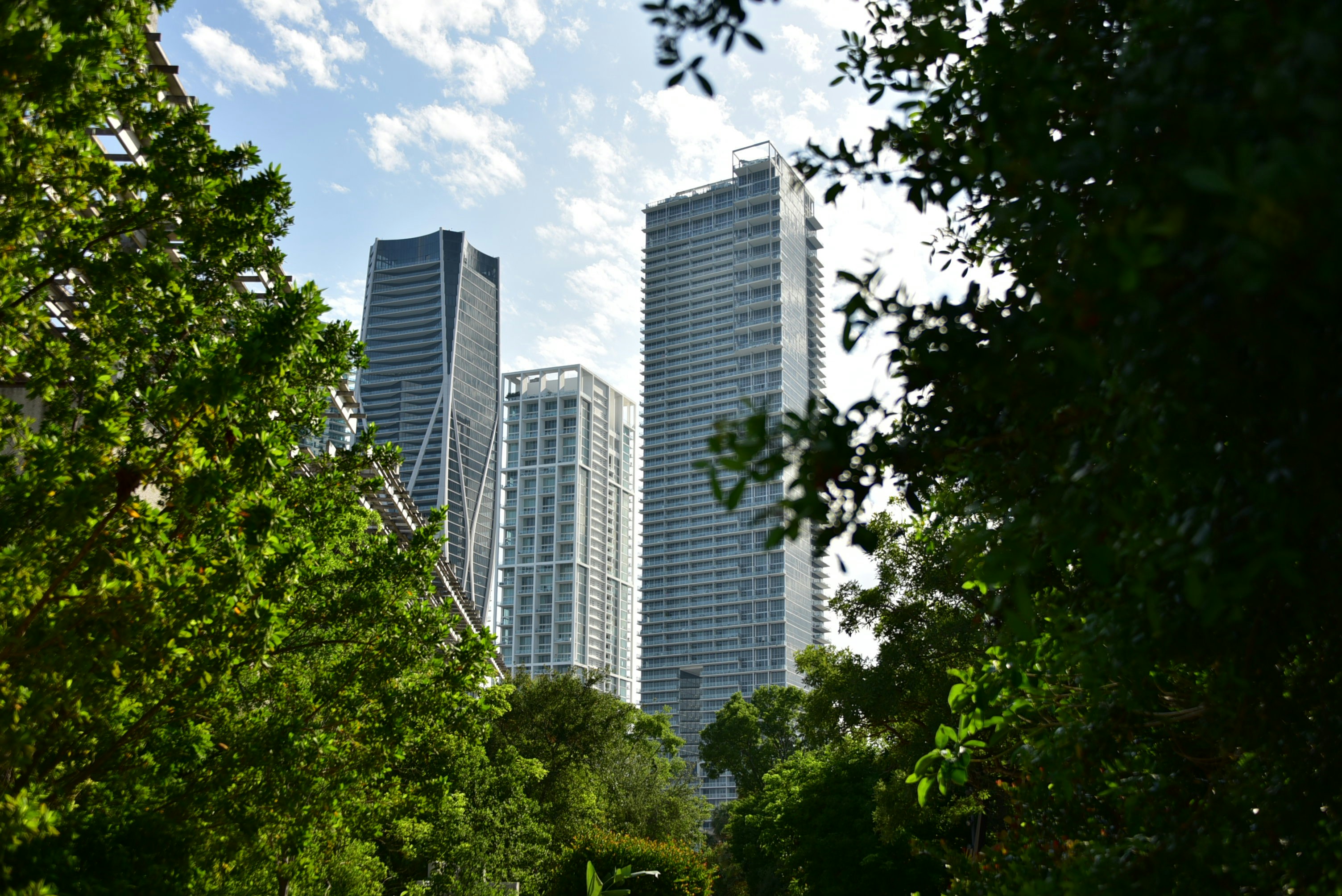 green trees near high rise buildings during daytime