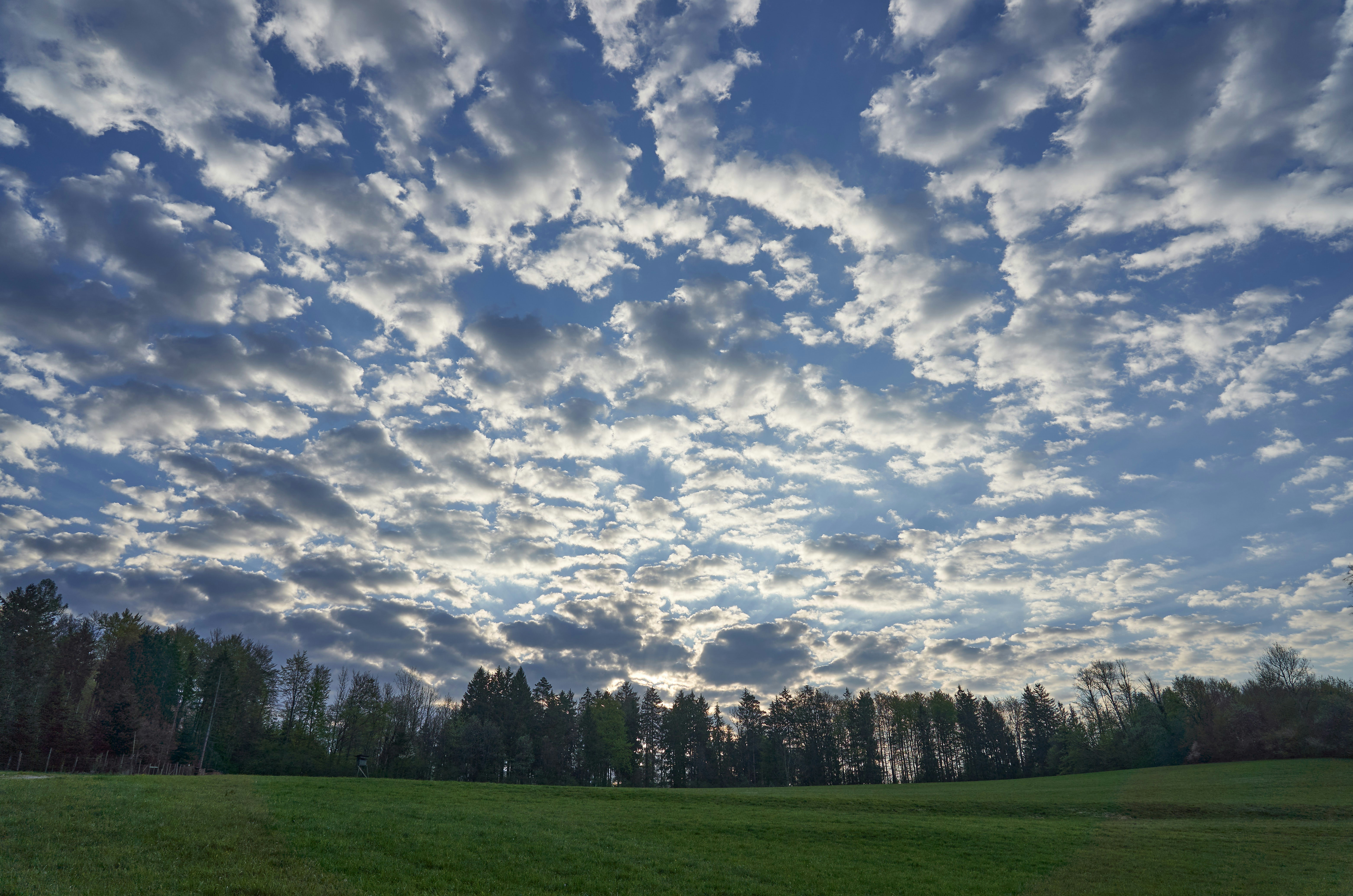 Photo by wolfgang_hasselmann