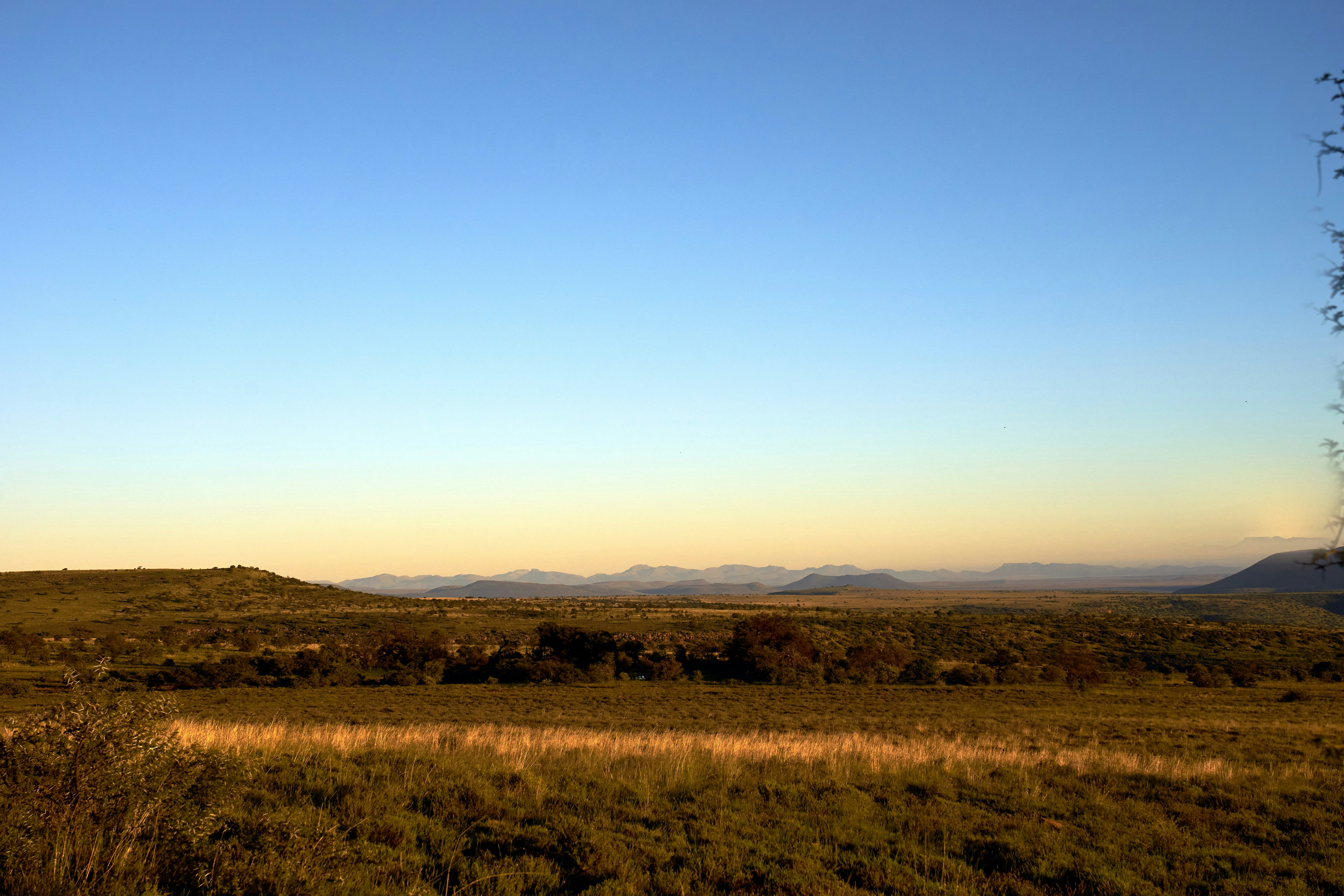 Photo by wolfgang_hasselmann